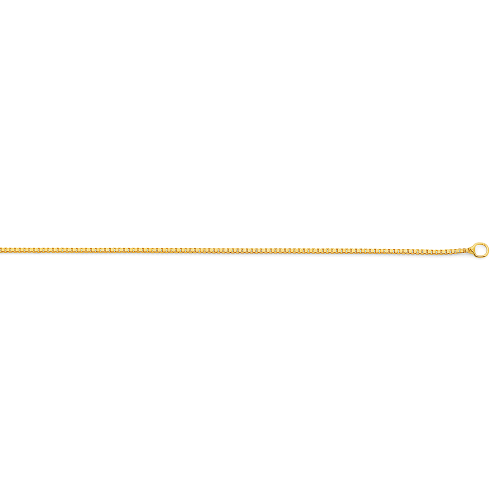 9ct Gold 42cm Solid Box Chain | Angus & Coote