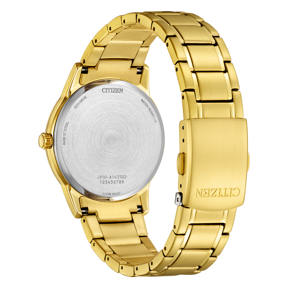 Citizen Men s Watch in Gold Angus Coote