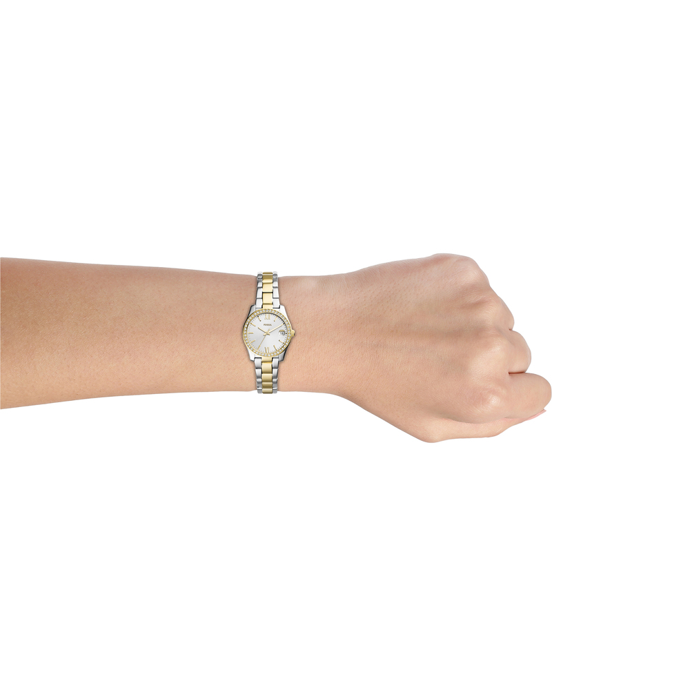 Fossil watch online scarlette